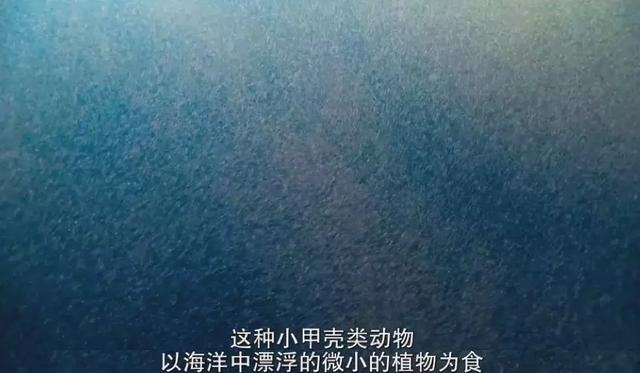 我赌这9.8分顶级新片，马上要刷爆你的朋友圈