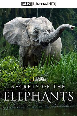 [大象的秘密 第一季 Secrets of the Elephants Season 1]