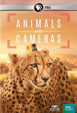[假如动物会摄影 第1-2季 Animals with Cameras Season 1-2]