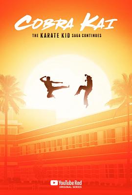 [眼镜蛇 第1-6季 Cobra Kai Season 1-6]